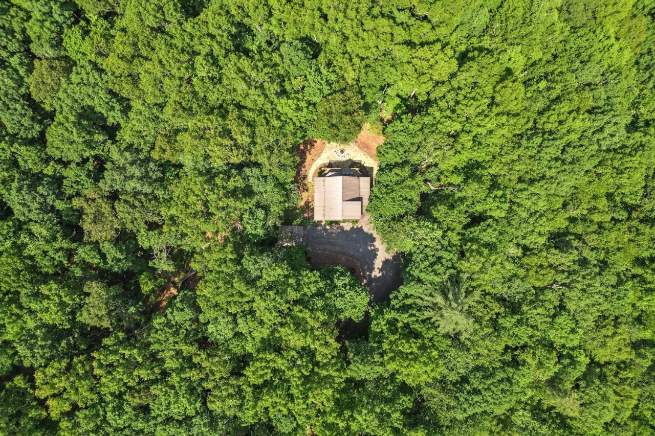 Bear Naked Bungalow Blue Ridge Exteriér fotografie